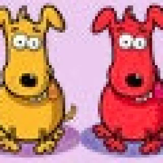 My Dogs