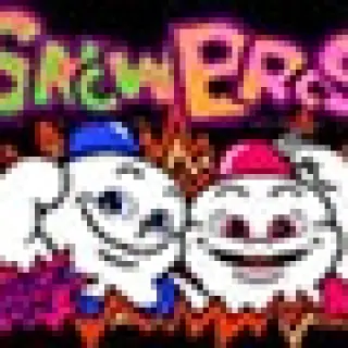 Snow Bros