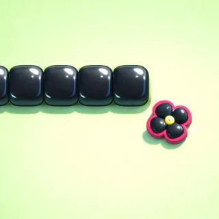 Two Player Snake