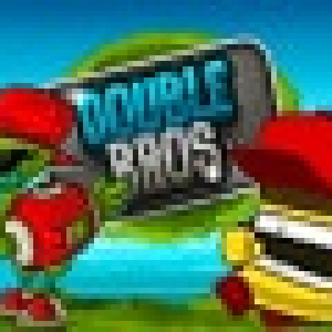 Double Bros icon
