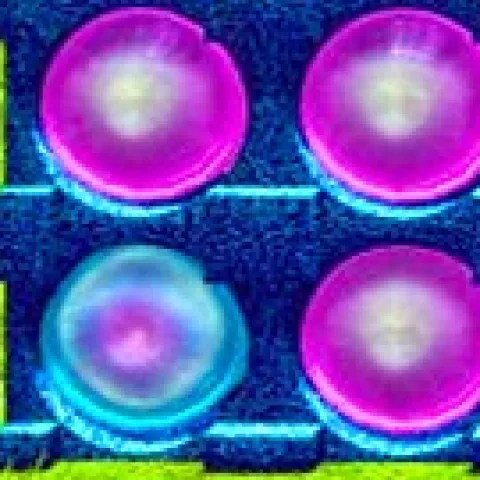 3D Connect 4 icon