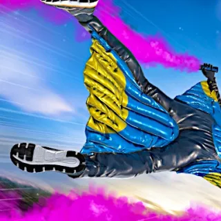 Base Jump Wing Suit Flying